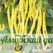 картинка ЦВП Фасоль Золотой нектар спаржевая 8 г. "НК"/25 от магазина Амурский дачник+