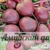 картинка ЦВП Свекла Бейби бит F1 60c. "НК"/25 от магазина Амурский дачник+