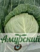 картинка ЦВП Капуста б/к Заполярье,50 с.F1 "НК"/20 от магазина Амурский дачник+