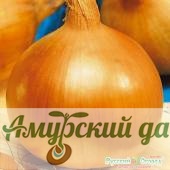 картинка ЦВП Лук репчатый Глобо 0,4г. "НК"/20 от магазина Амурский дачник+