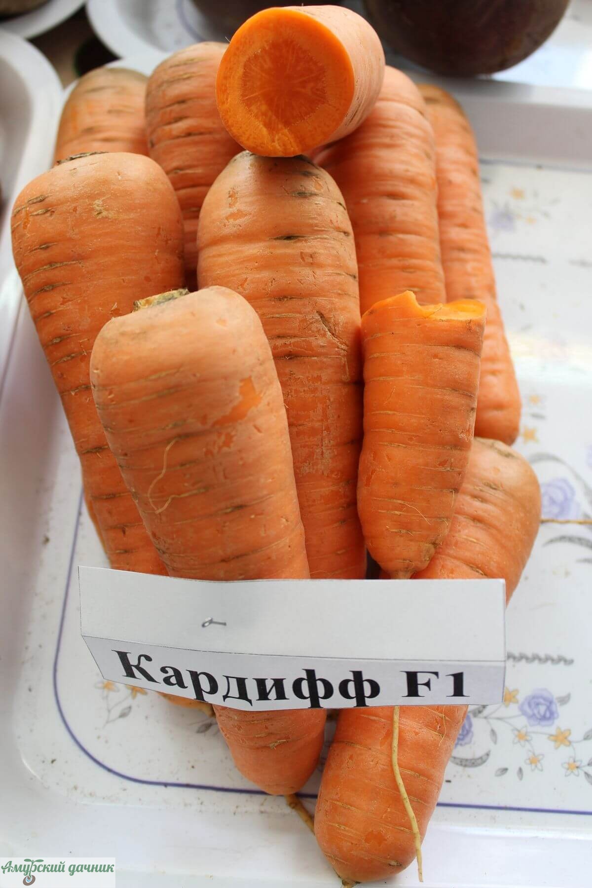 картинка АБП Морковь Кардифф F 0,3 г/10 (хранение) от магазина Амурский дачник+