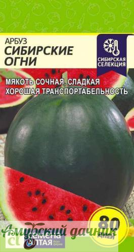 картинка ЦВП Арбуз Сибирские Огни 1 г !!! "СА" (раннеспел, 5-6 кг) от магазина Амурский дачник+