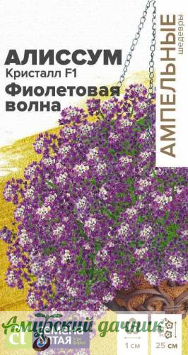 картинка ЦВЦ Алиссум Кристалл Фиолетовая Волна  F1, 0,01 г. "СА"/10 от магазина Амурский дачник+