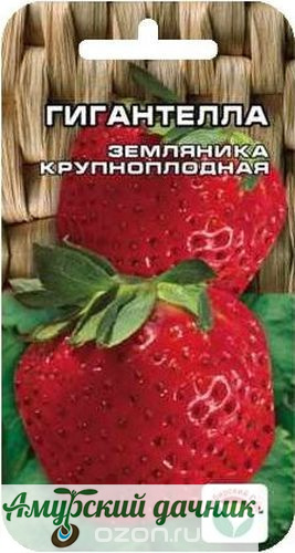 картинка ЦВП Земл-клуб. Гигантелла (крупноплодная) 10с. "СС"/10 от магазина Амурский дачник+