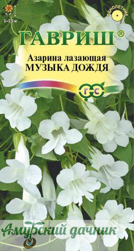 картинка ЦВЦ Азарина Музыка Дождя  5с." Г"/20 (3-3,5м) от магазина Амурский дачник+