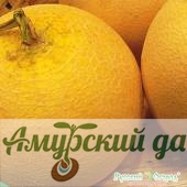 картинка ЦВП Дыня Золотистая 1г. "НК"/25 от магазина Амурский дачник+
