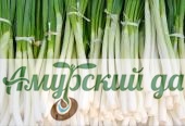 картинка БП Лук батун Легионер 0,5г "Г"/20 от магазина Амурский дачник+