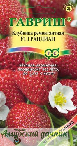 картинка ЦВП Земл-клуб. Грандиан F1, 5 с. "Г"/20 (ремонт) от магазина Амурский дачник+