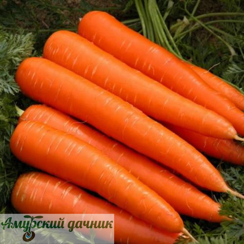 картинка БП Морковь Королева Осени 1г."СВ"/20  от магазина Амурский дачник+