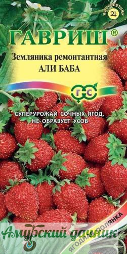 картинка ЦВП Земл-клуб. Али Баба, ремонтант, сочная, без усов 0,03г. "Г"/20 от магазина Амурский дачник+