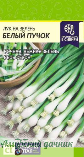 картинка ЦВП Лук на зелень Белый Пучок  0,5г."СА"/20 от магазина Амурский дачник+