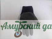 картинка 1 Перчатки нейл. латекс рифл."ELEMENTA EXPERT-черн." р-10., LN-201-10,/10 от магазина Амурский дачник+