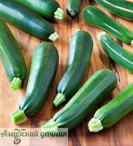 картинка БП Кабачок Цукеша (раннеспел)1,5г."СВ"/20 от магазина Амурский дачник+