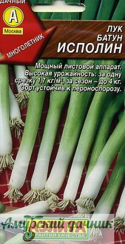 картинка ЦВП Лук батун Исполин (среднесп) 1г "АЭЛ"/10 от магазина Амурский дачник+