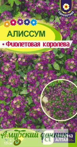 картинка ЦВЦ Алиссум морск. Фиолетовая Королева 0,05гр." СА"/10 от магазина Амурский дачник+