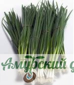 картинка БП Лук на зелень Тотем 0,1 гр, (М)/10 от магазина Амурский дачник+