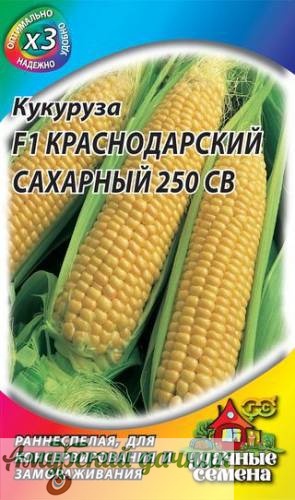 картинка ЦВП Кукуруза Краснодарский сахарный 250 СВ,5 г.УДС"Г"/20 от магазина Амурский дачник+