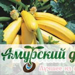 картинка ЦВП Кабачки Желтоплодный цуккини 2 г."НК"/10 от магазина Амурский дачник+
