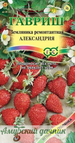 картинка ЦВП Земл-клуб. Александрия 0,03 г.."Г"/20 (земляника) от магазина Амурский дачник+
