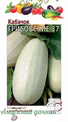картинка ЦВП Кабачки Грибовский 37, 2 г. "Г"/20 от магазина Амурский дачник+