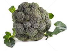 http://stockfresh.com/files/k/klinker/m/81/6230931_stock-photo-organic-broccoli-cabbage.jpg